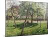 An Enclosure in Eragny-Camille Pissarro-Mounted Giclee Print