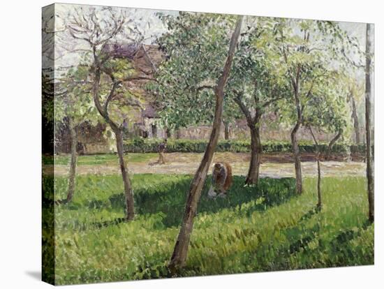 An Enclosure in Eragny-Camille Pissarro-Stretched Canvas