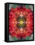 An Energetic Symmetric Onament from Flower Photographs-Alaya Gadeh-Framed Stretched Canvas