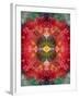 An Energetic Symmetric Onament from Flower Photographs-Alaya Gadeh-Framed Photographic Print