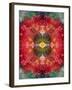 An Energetic Symmetric Onament from Flower Photographs-Alaya Gadeh-Framed Photographic Print