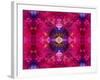 An Energetic Symmetric Onament from Flower Photographs-Alaya Gadeh-Framed Photographic Print