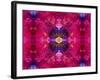 An Energetic Symmetric Onament from Flower Photographs-Alaya Gadeh-Framed Photographic Print