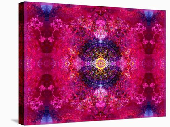 An Energetic Symmetric Onament from Flower Photographs-Alaya Gadeh-Stretched Canvas