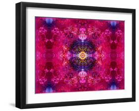 An Energetic Symmetric Onament from Flower Photographs-Alaya Gadeh-Framed Photographic Print