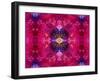 An Energetic Symmetric Onament from Flower Photographs-Alaya Gadeh-Framed Photographic Print