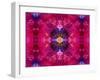 An Energetic Symmetric Onament from Flower Photographs-Alaya Gadeh-Framed Photographic Print