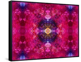 An Energetic Symmetric Onament from Flower Photographs-Alaya Gadeh-Framed Stretched Canvas