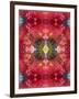 An Energetic Symmetric Onament from Flower Photographs-Alaya Gadeh-Framed Photographic Print