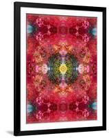 An Energetic Symmetric Onament from Flower Photographs-Alaya Gadeh-Framed Photographic Print