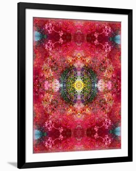 An Energetic Symmetric Onament from Flower Photographs-Alaya Gadeh-Framed Photographic Print