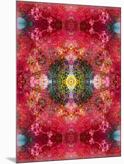 An Energetic Symmetric Onament from Flower Photographs-Alaya Gadeh-Mounted Photographic Print