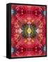 An Energetic Symmetric Onament from Flower Photographs-Alaya Gadeh-Framed Stretched Canvas