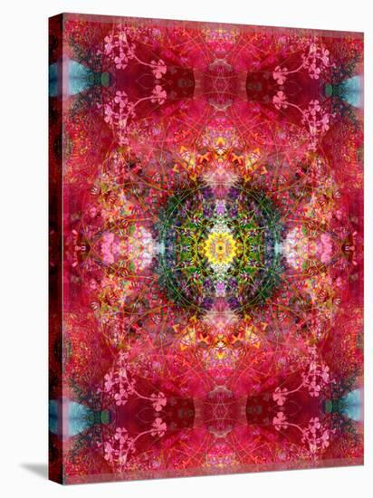 An Energetic Symmetric Onament from Flower Photographs-Alaya Gadeh-Stretched Canvas