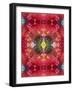 An Energetic Symmetric Onament from Flower Photographs-Alaya Gadeh-Framed Photographic Print