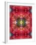 An Energetic Symmetric Onament from Flower Photographs-Alaya Gadeh-Framed Photographic Print