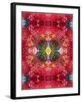 An Energetic Symmetric Onament from Flower Photographs-Alaya Gadeh-Framed Photographic Print