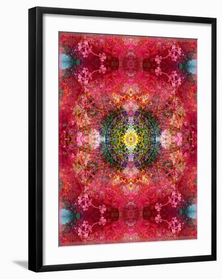 An Energetic Symmetric Onament from Flower Photographs-Alaya Gadeh-Framed Photographic Print