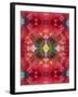 An Energetic Symmetric Onament from Flower Photographs-Alaya Gadeh-Framed Photographic Print