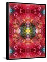 An Energetic Symmetric Onament from Flower Photographs-Alaya Gadeh-Framed Stretched Canvas