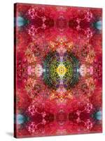 An Energetic Symmetric Onament from Flower Photographs-Alaya Gadeh-Stretched Canvas