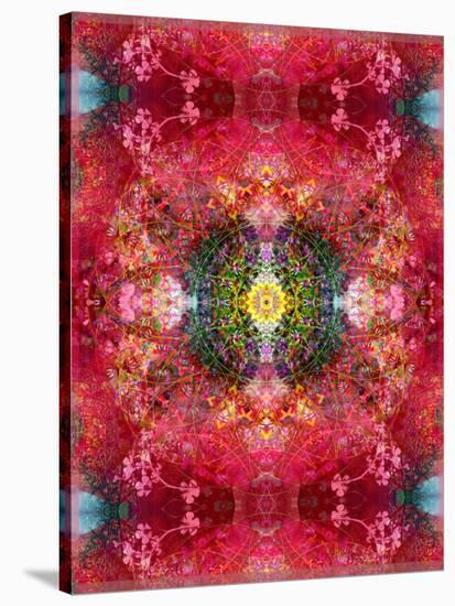 An Energetic Symmetric Onament from Flower Photographs-Alaya Gadeh-Stretched Canvas