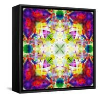 An Energetic Symmetric Onament from Flower Photographs-Alaya Gadeh-Framed Stretched Canvas