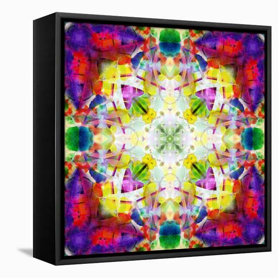 An Energetic Symmetric Onament from Flower Photographs-Alaya Gadeh-Framed Stretched Canvas