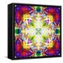 An Energetic Symmetric Onament from Flower Photographs-Alaya Gadeh-Framed Stretched Canvas