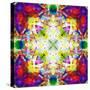 An Energetic Symmetric Onament from Flower Photographs-Alaya Gadeh-Stretched Canvas