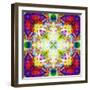 An Energetic Symmetric Onament from Flower Photographs-Alaya Gadeh-Framed Photographic Print