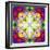 An Energetic Symmetric Onament from Flower Photographs-Alaya Gadeh-Framed Photographic Print