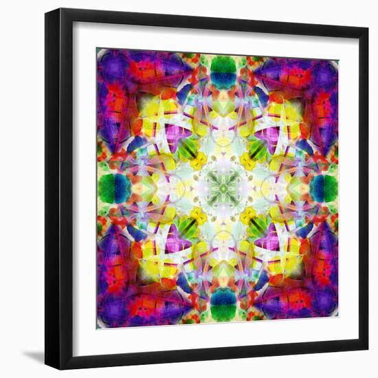 An Energetic Symmetric Onament from Flower Photographs-Alaya Gadeh-Framed Photographic Print