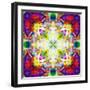 An Energetic Symmetric Onament from Flower Photographs-Alaya Gadeh-Framed Photographic Print