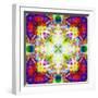 An Energetic Symmetric Onament from Flower Photographs-Alaya Gadeh-Framed Photographic Print