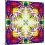 An Energetic Symmetric Onament from Flower Photographs-Alaya Gadeh-Mounted Photographic Print