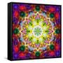 An Energetic Symmetric Onament from Flower Photographs-Alaya Gadeh-Framed Stretched Canvas