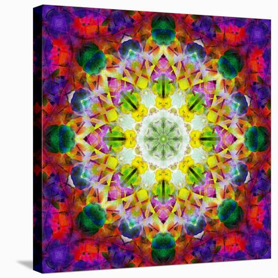 An Energetic Symmetric Onament from Flower Photographs-Alaya Gadeh-Stretched Canvas