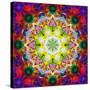 An Energetic Symmetric Onament from Flower Photographs-Alaya Gadeh-Stretched Canvas