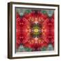 An Energetic Symmetric Onament from Flower Photographs-Alaya Gadeh-Framed Photographic Print