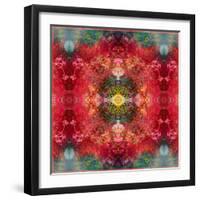 An Energetic Symmetric Onament from Flower Photographs-Alaya Gadeh-Framed Photographic Print