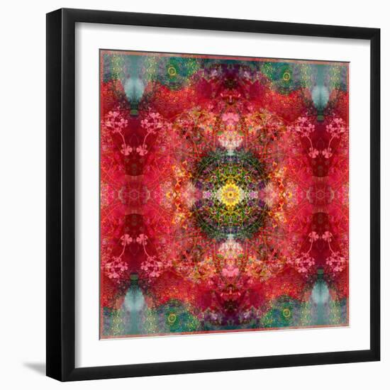 An Energetic Symmetric Onament from Flower Photographs-Alaya Gadeh-Framed Photographic Print