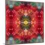 An Energetic Symmetric Onament from Flower Photographs-Alaya Gadeh-Mounted Photographic Print