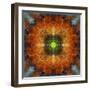 An Energetic Symmetric Onament from Flower Photographs-Alaya Gadeh-Framed Photographic Print