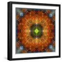 An Energetic Symmetric Onament from Flower Photographs-Alaya Gadeh-Framed Photographic Print