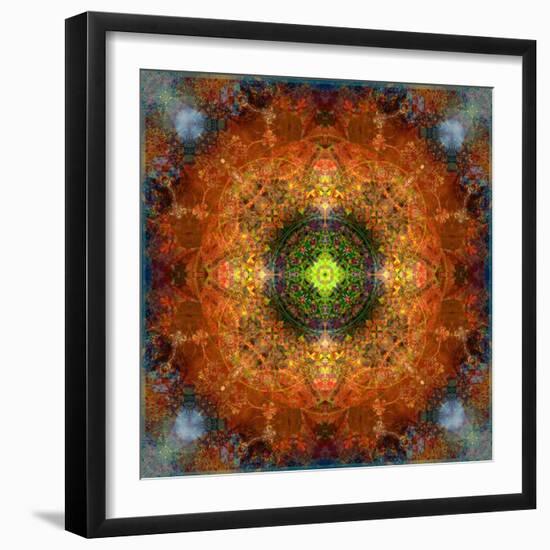 An Energetic Symmetric Onament from Flower Photographs-Alaya Gadeh-Framed Photographic Print