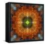 An Energetic Symmetric Onament from Flower Photographs-Alaya Gadeh-Framed Stretched Canvas