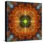 An Energetic Symmetric Onament from Flower Photographs-Alaya Gadeh-Stretched Canvas