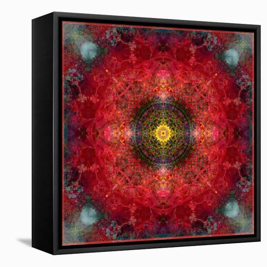 An Energetic Symmetric Onament from Flower Photographs-Alaya Gadeh-Framed Stretched Canvas