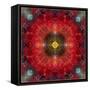 An Energetic Symmetric Onament from Flower Photographs-Alaya Gadeh-Framed Stretched Canvas